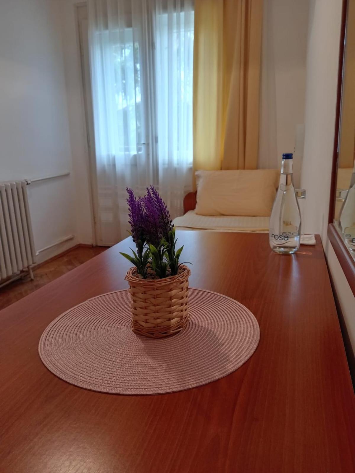 Hotel Vlasina - Vlasinsko Jezero Vlasina Rid Dış mekan fotoğraf
